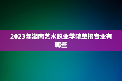 2023年湖南艺术职业学院单招专业解析 聚焦数字广告制作